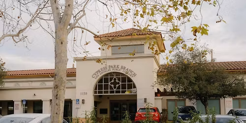 Parking Molly Grace (16+)