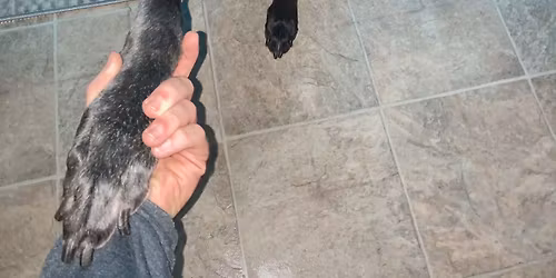 Monthly $10 Nail Clinic