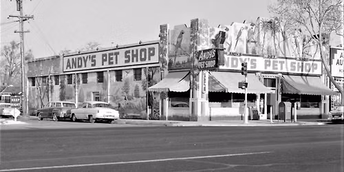 Andy's Pet Shop Grand Re-Opening 