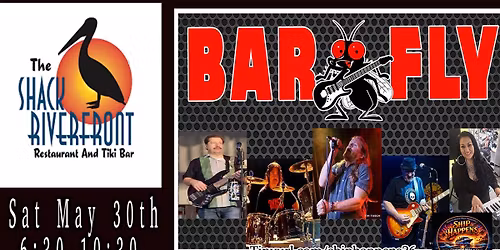 Bar Fly at The Shack