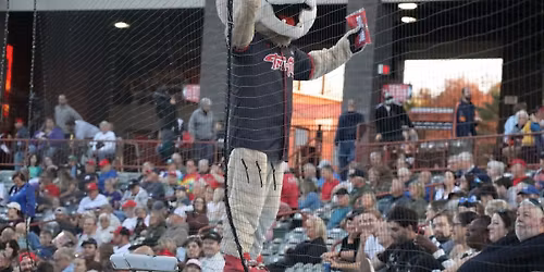Brockton Rox at Quebec Capitales