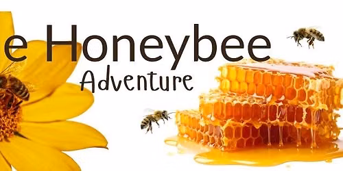 The Honeybee Adventure