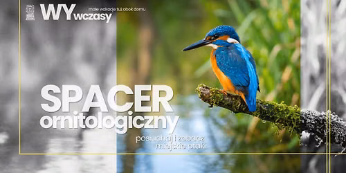 WYwczasy: spacer ornitologiczny - pos\u0142uchaj i zobacz miejskie ptaki