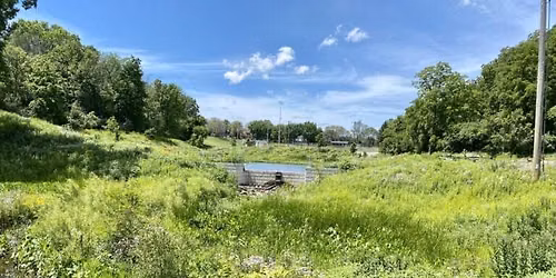 Hike with a Naturalist: Dog Walk on Konkapot Creek Trail