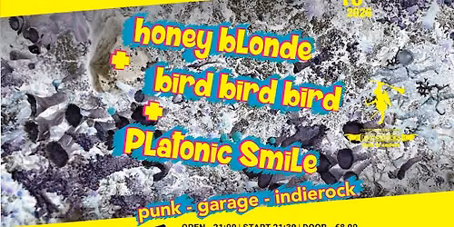 Honey Blonde + Bird Bird Bird + Platonic Smile