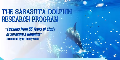 The Sarasota Dolphin Research Program 