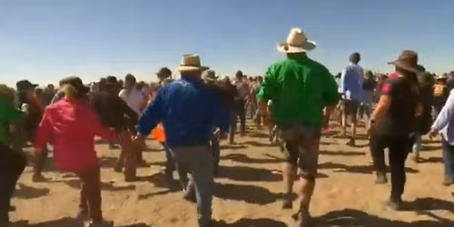 Geelong's biggest Nutbush line dance