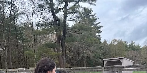  Positively Goats