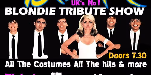 Illegally Blondie Tribute Act - Live at Forthill