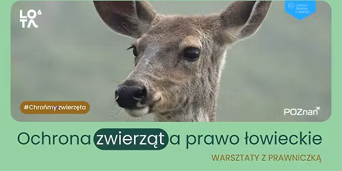 Ochrona zwierz\u0105t a prawo \u0142owieckie \/ CzIL Naramowice