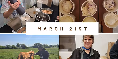 Interactive Ice Cream Tour