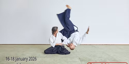 Friendship seminar with Julia Wagner