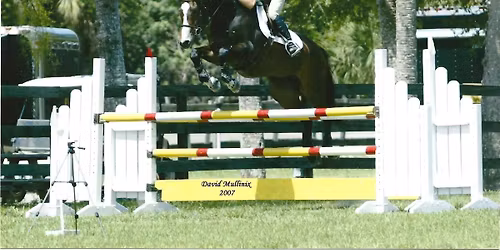 Clinic with Sally Ivory