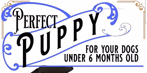 Perfect Pup Group Classes Saturday 11AM