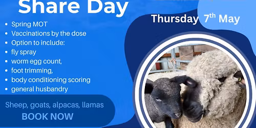 Smallholder Share Day - Livestock Health Club