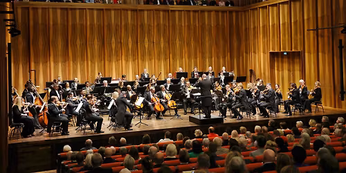 Musikalischer Blumenstrau\u00df Vol. 3