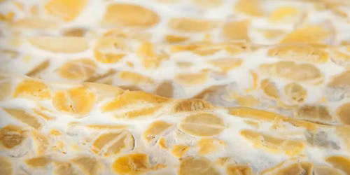 Tempeh Demystified