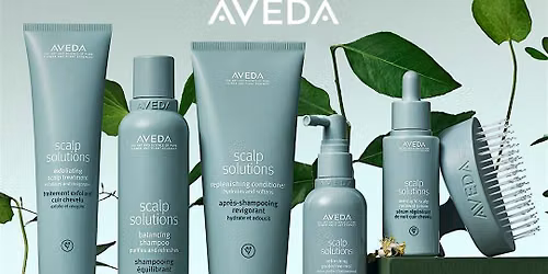 Scalp Solutions - Experience the Skinification of Your Hair and Scalp