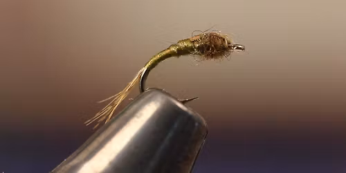 Fly-Tying Forum