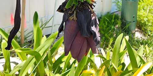 \ud83e\udd8bSprout and Spark Drop-Off Class: Fort Building, Fire Building, & Forest Art\ud83d\uded6