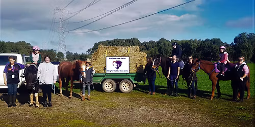 Carriage Driving Fun Day & Fundraiser
