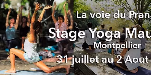 Stage Yoga Montpellier - Mauguio cet \u00e9t\u00e9 dans le Sud de la France - La voie du Prana