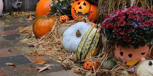 halloween trick or treat