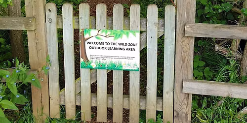 Summer Forest School at Fermyn Woods Country Park