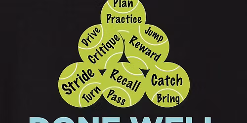 Precision Flyball with Shelly Switick