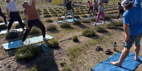 YOGA at Big Sky Lavender Farms 🪻🧘