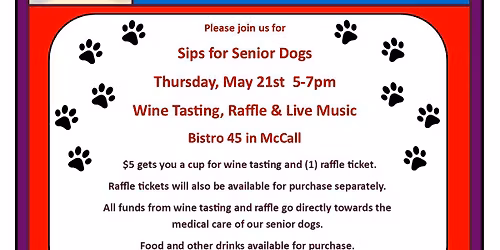 Sips for Senior Dogs