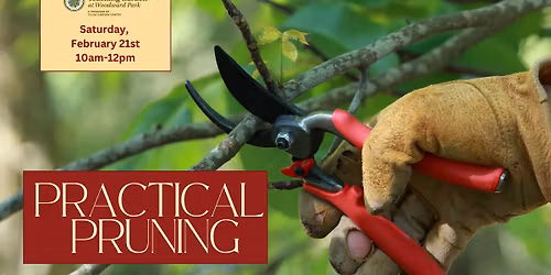 Practical Pruning