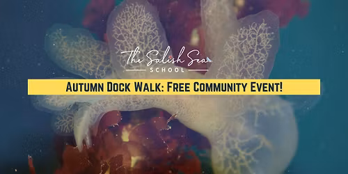 Autumn Evening Dock Walk