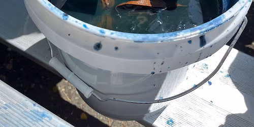 "Choose Your Own Adventure" as we Exhaust Our Community Indigo Dye Vat