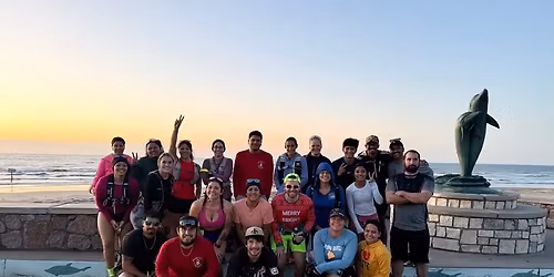 Gators Take Galveston Part 2