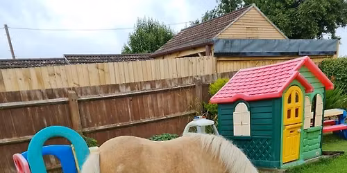 Clear round SJ for clients only at SMS Equestrian