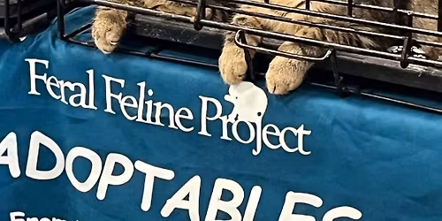 PetSmart Adoption Event