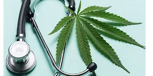 Curious about Medical Cannabis?  Meet the Doctor, Get Qualified on the Spot