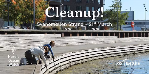 NOW Spring Cleanup and FREE Sauna!