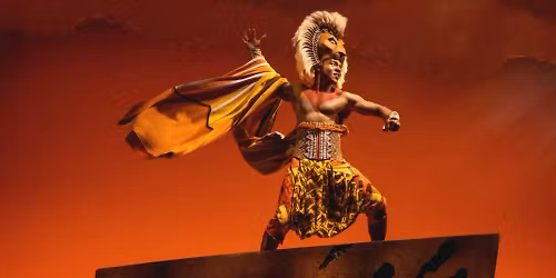 Parking The Lion King - Montreal