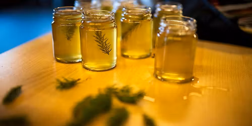 Les vertus de nos for\u00eats