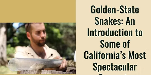  An Introduction to Some of California\u2019s Most Spectacular Serpents
