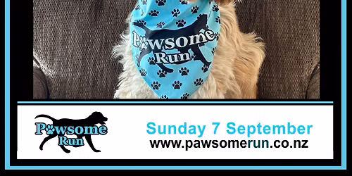 Pawsome Run