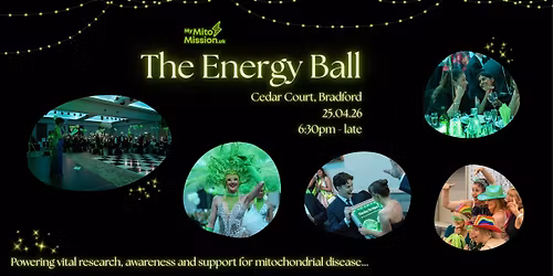 The Energy Ball 2026 \ud83d\udc9a\u26a1\ufe0f