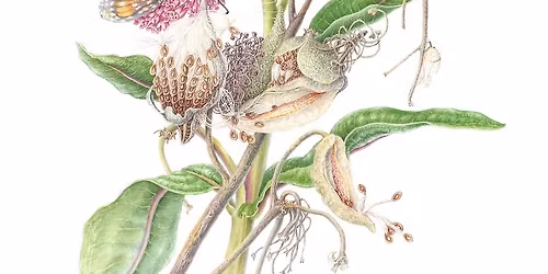 Exhibition Opening - Art that Matters to the Planet: Beyond Beauty