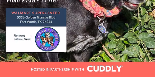 Cuddly Adoption Event
