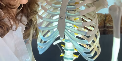 \u041a\u0440\u0430\u043d\u0438\u043e -\u0421\u0430\u043a\u0440\u0430\u043b\u043d\u0430 \u041e\u0441\u0442\u0435\u043e\u043f\u0430\u0442\u0438\u044f \u043d\u0438\u0432\u043e 1