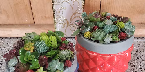 Succulent Art Workshop
