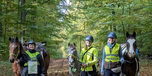 Gel\u00e4ndecup 2026