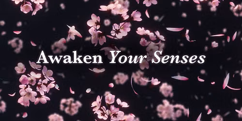tem: Experience Like Never Before